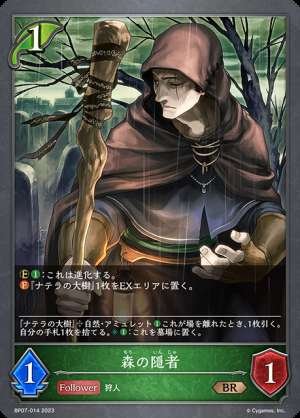 Forest Hermit