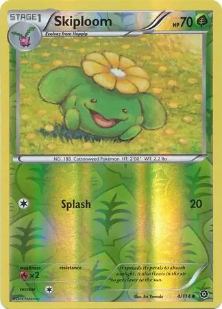 Skiploom