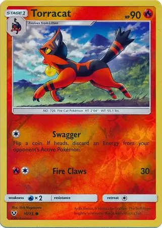 Torracat