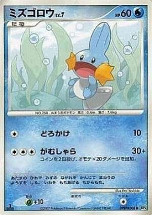 Mudkip