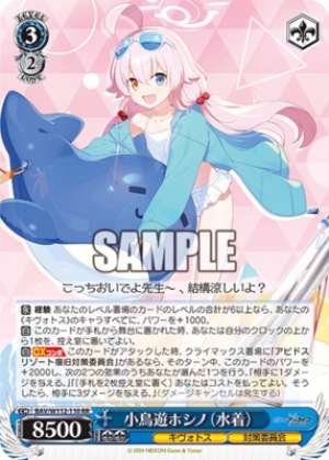 Takanashi Hoshino Swimsuit