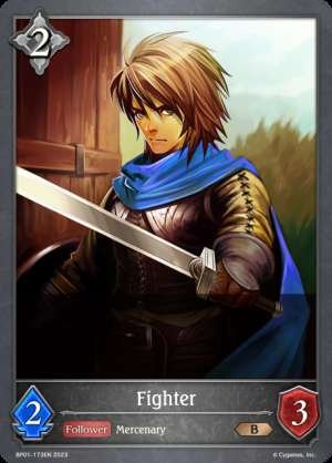 Fighter