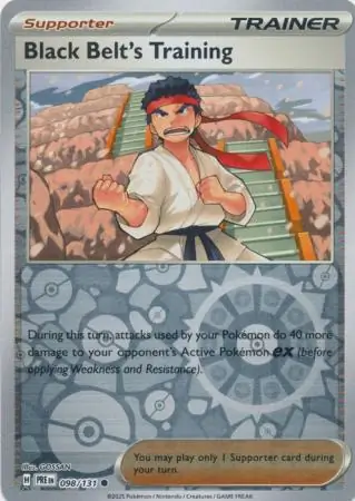 Black Belt's Training