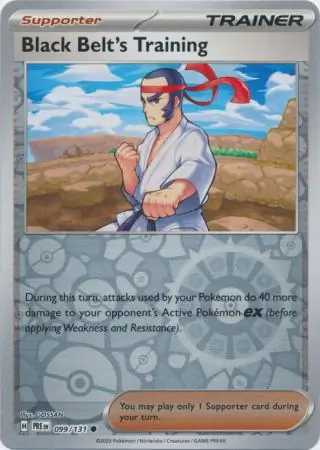 Black Belt's Training