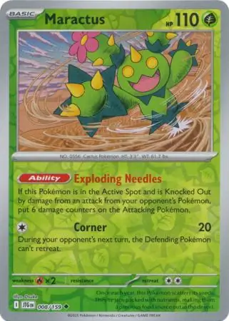 Maractus