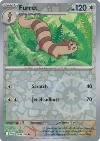 Furret