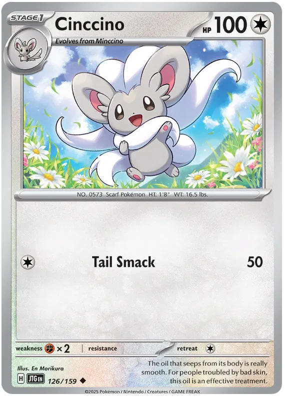 Cinccino