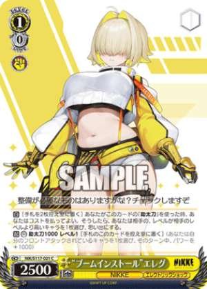 "BOOM Install" Elegg