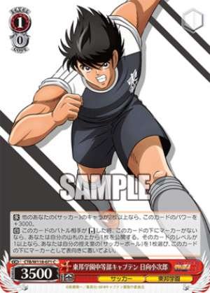 Toho Gakuen Junior High School Captain Kojiro Hinata CTB
