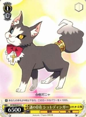 Schrödinger, Mysterious Existence