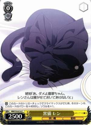 Ren, Black Cat