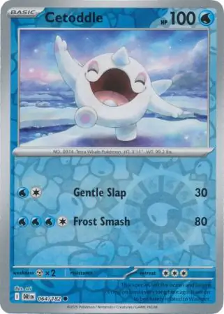 Cetoddle