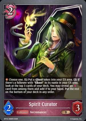 Spirit Curator