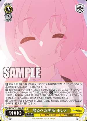 The Place to Return Hoshino