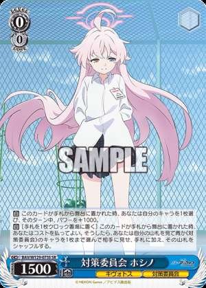 Countermeasures Committee Hoshino