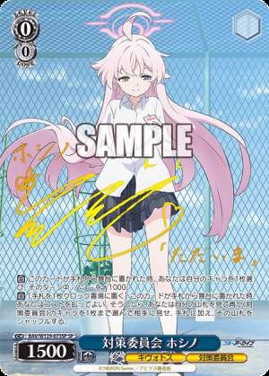 Countermeasures Committee Hoshino