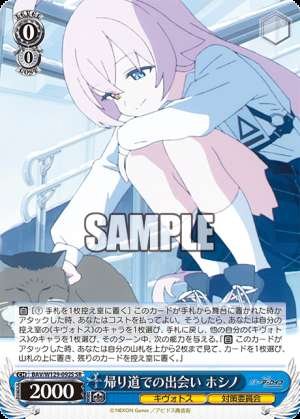 Encounter on the Way Home Hoshino