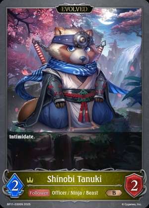 Shinobi Tanuki