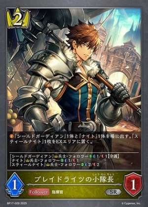 Squad Leader of the Braid Lights