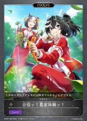 Training Camp! Farm Experience! (EVOLVE)