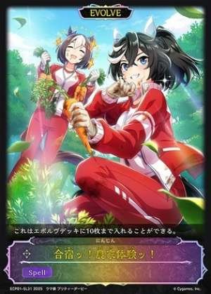 Training Camp! Farm Experience! (EVOLVE)