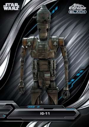 IG-11
