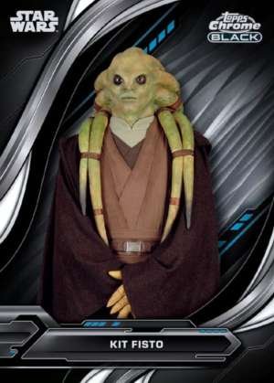 Kit Fisto