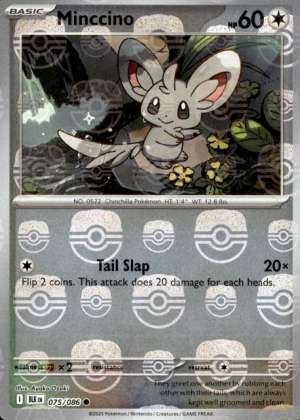 Minccino