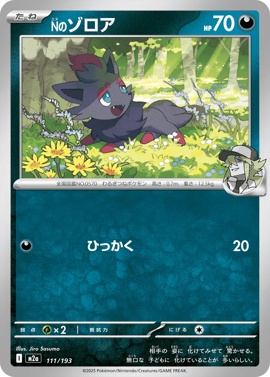 N's Zorua