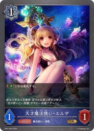 Genius Wizard Elsa