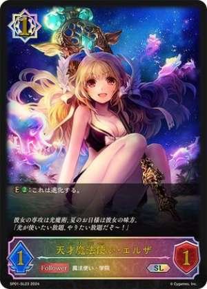 Genius Wizard Elsa