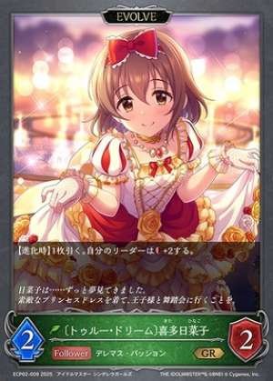 True Dream Hinako Kita (EVOLVE)