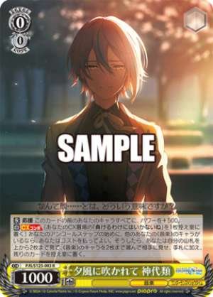 Blown by the evening breeze Rui Kamishiro