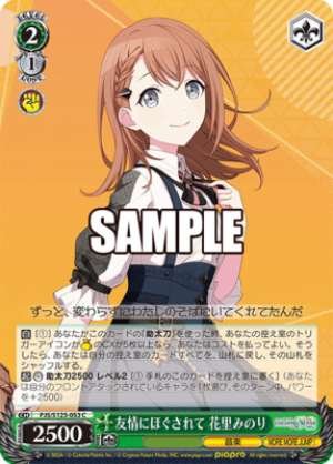 Melted by Friendship Minori Hanazato