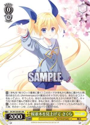 Looking up at the row of cherry trees Sakura