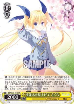 Looking up at the row of cherry trees Sakura