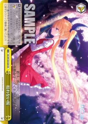 Cherry blossoms that never wither