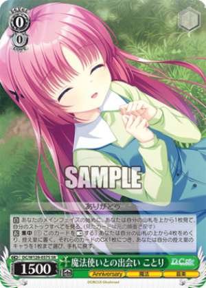 Encounter with a Wizard Kotori