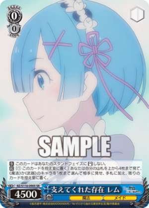 Rem, the one who supported me.