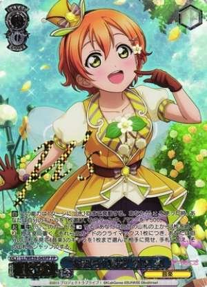 "Sunlight Shining on Flowers" Rin Hoshizora