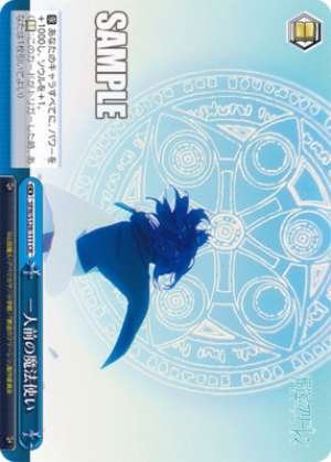 A fully-fledged wizard