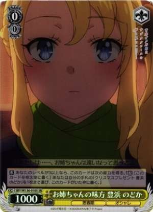 Big Sister's Ally Toyohama Nodoka