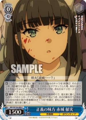 Akagi Ikumi, Champion of Justice