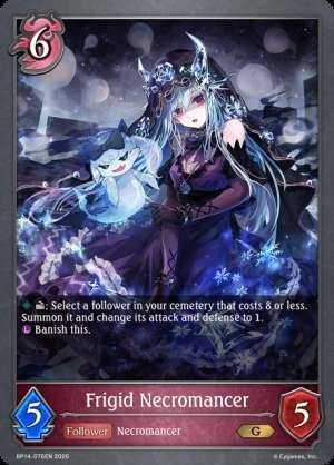 Frigid Necromancer