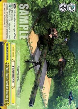 Full-Scale Combat Training