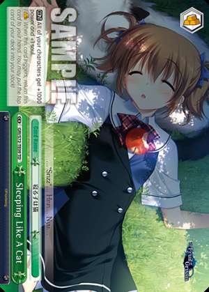 Sleeping Like A Cat