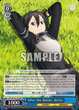 After the Battle, Kirito