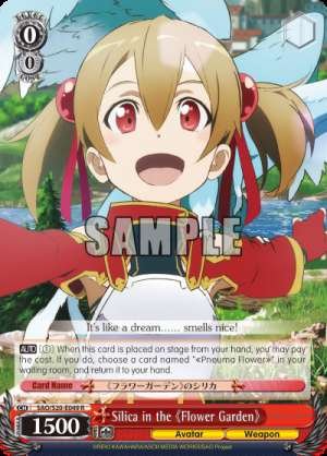 Silica in the <<Flower Garden>>