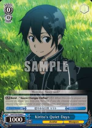 Kirito's Quiet Days