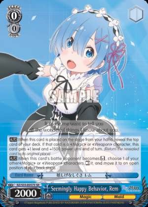 Seemingly Happy Behavior, Rem
